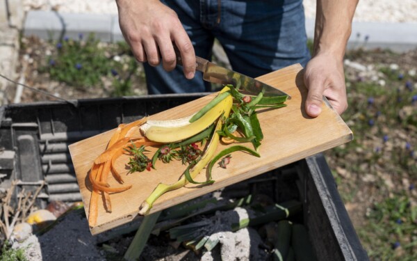 Compostage obligatoire en France dès le 1er janvier 2024 : révolution écologique ou fardeau ?