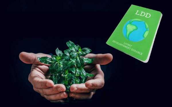 LDDS : Un moyen incontournable pour investir durablement